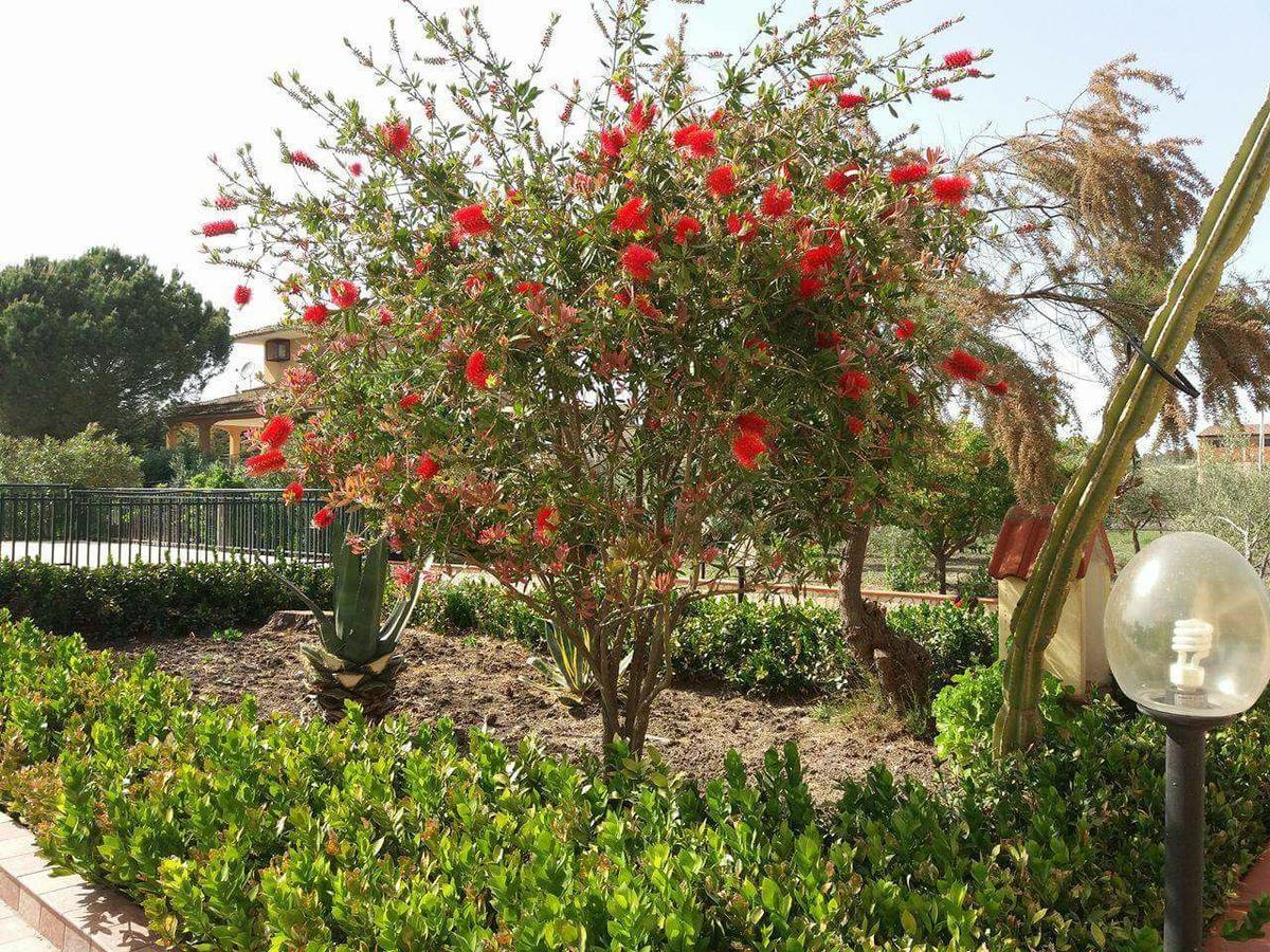 Villa Milici Campobello di Licata ภายนอก รูปภาพ